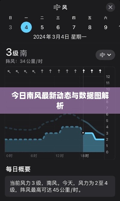 2025年1月17日 第3页