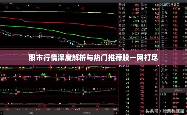 股市行情深度解析与热门推荐股一网打尽