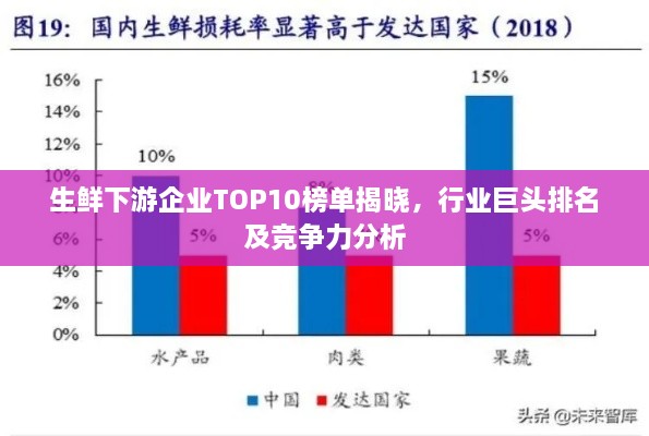 生鲜下游企业TOP10榜单揭晓，行业巨头排名及竞争力分析