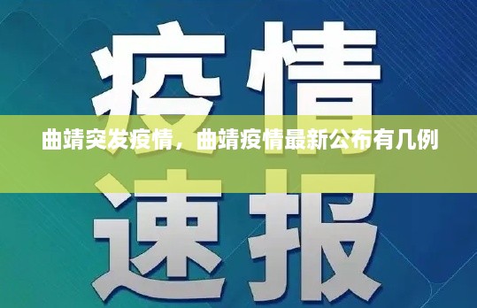 曲靖突发疫情，曲靖疫情最新公布有几例 