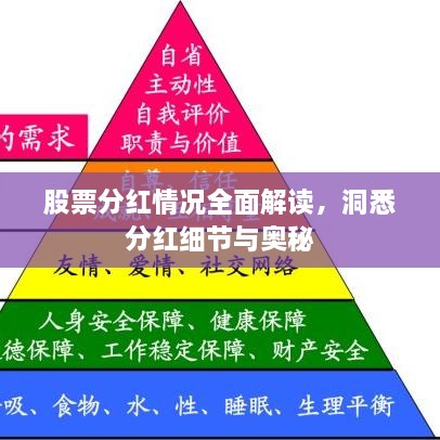 股票分红情况全面解读，洞悉分红细节与奥秘