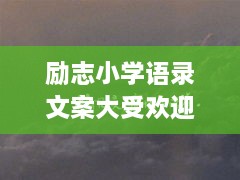 励志小学语录文案大受欢迎！激励你我他，百度收录标准吸睛标题。