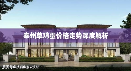 泰州草鸡蛋价格走势深度解析