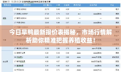 今日旱鸭最新报价表揭秘，市场行情解析助你精准把握养殖收益！