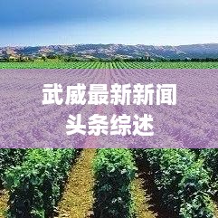 武威最新新闻头条综述