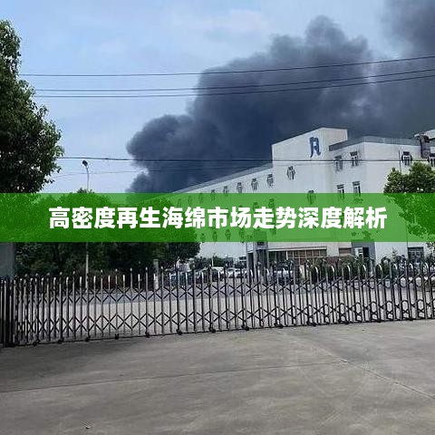 高密度再生海绵市场走势深度解析