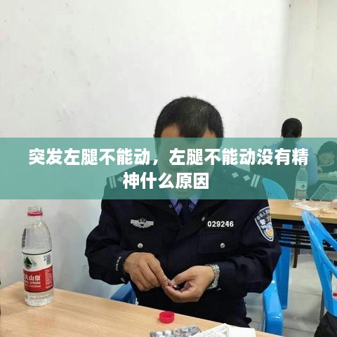 突发左腿不能动，左腿不能动没有精神什么原因 