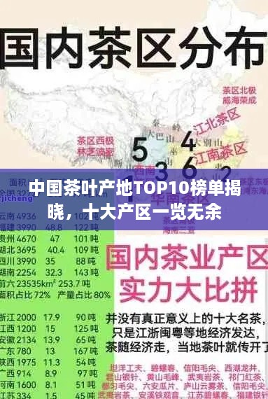 中国茶叶产地TOP10榜单揭晓，十大产区一览无余