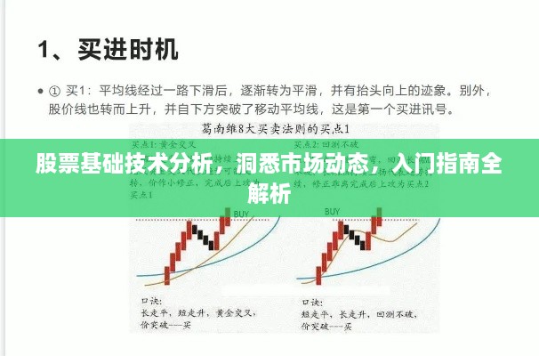 股票基础技术分析，洞悉市场动态，入门指南全解析