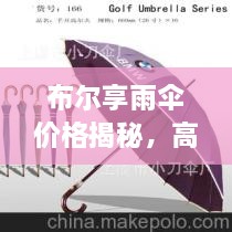 布尔享雨伞价格揭秘，高品质雨伞的市场定位与价值探究