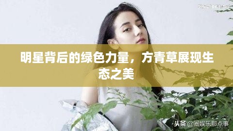 明星背后的绿色力量，方青草展现生态之美