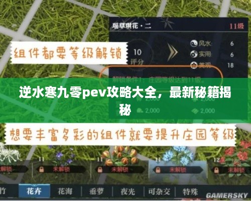 逆水寒九零pev攻略大全，最新秘籍揭秘