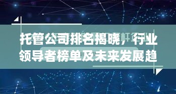 托管公司排名揭晓，行业领导者榜单及未来发展趋势深度解析