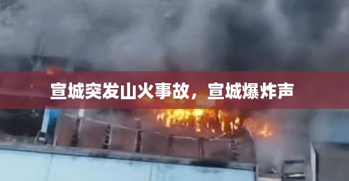 宣城突发山火事故，宣城爆炸声 