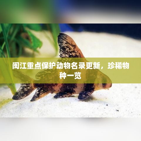 闽江重点保护动物名录更新，珍稀物种一览