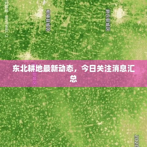 东北耕地最新动态，今日关注消息汇总