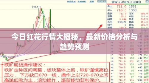 今日红花行情大揭秘，最新价格分析与趋势预测