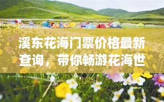 溪东花海门票价格最新查询，带你畅游花海世界！