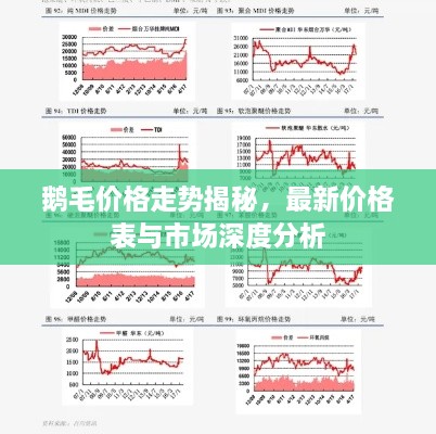 鹅毛价格走势揭秘，最新价格表与市场深度分析