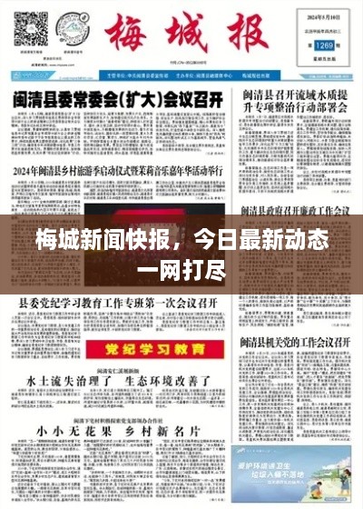 梅城新闻快报，今日最新动态一网打尽