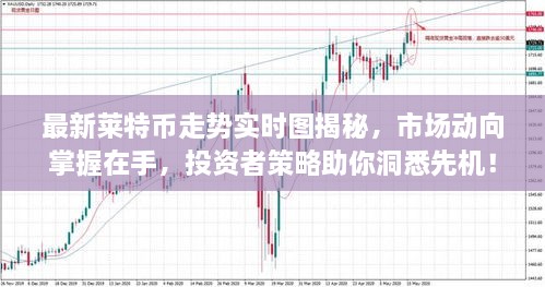 最新莱特币走势实时图揭秘，市场动向掌握在手，投资者策略助你洞悉先机！