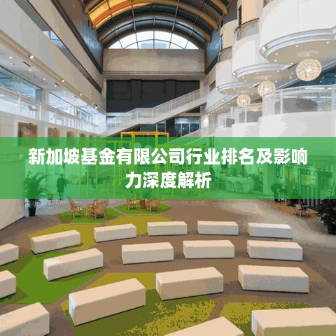 新加坡基金有限公司行业排名及影响力深度解析