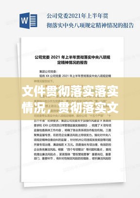 文件贯彻落实落实情况，贯彻落实文件精神的报告 