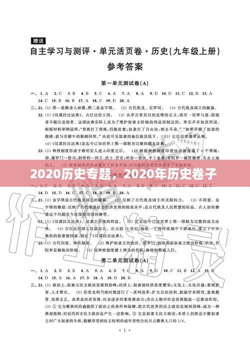 2020历史专题，2020年历史卷子 