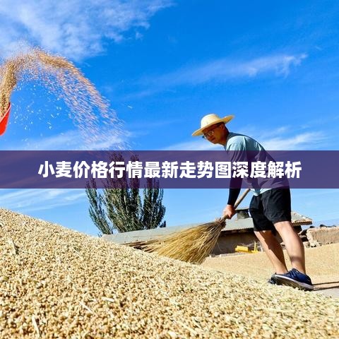 小麦价格行情最新走势图深度解析