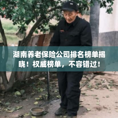 湖南养老保险公司排名榜单揭晓！权威榜单，不容错过！