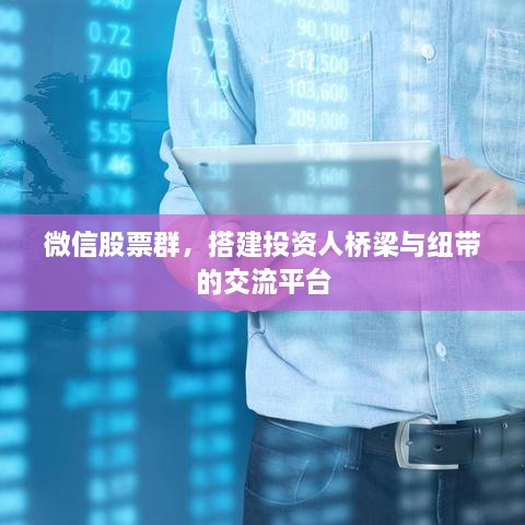 微信股票群，搭建投资人桥梁与纽带的交流平台