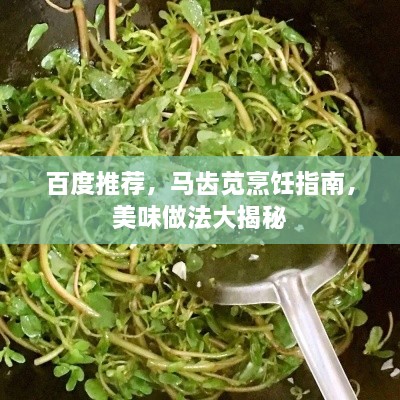 百度推荐，马齿苋烹饪指南，美味做法大揭秘