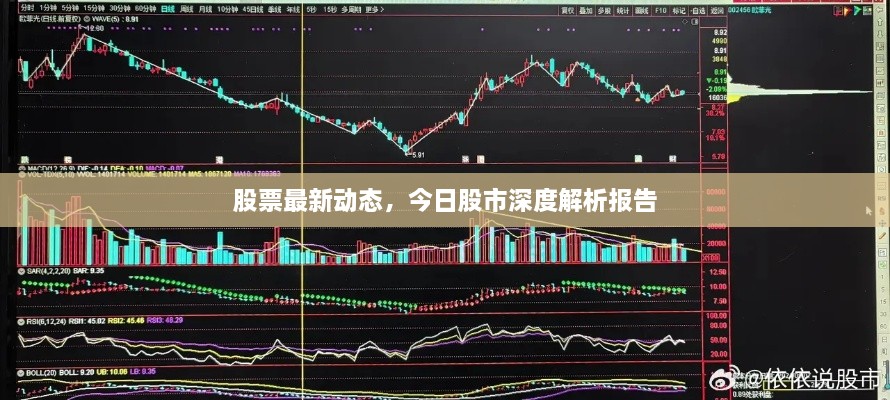 股票最新动态，今日股市深度解析报告