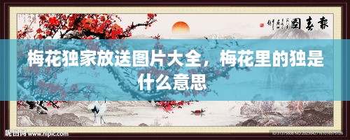 梅花独家放送图片大全，梅花里的独是什么意思 