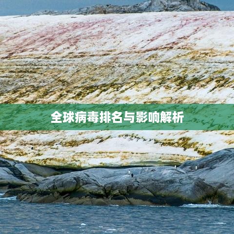 全球病毒排名与影响解析