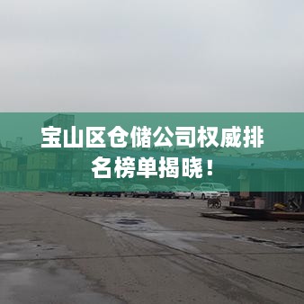 宝山区仓储公司权威排名榜单揭晓！