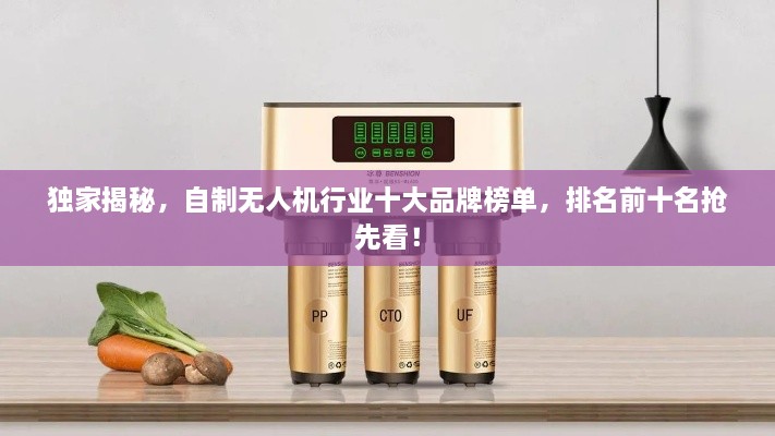 独家揭秘，自制无人机行业十大品牌榜单，排名前十名抢先看！